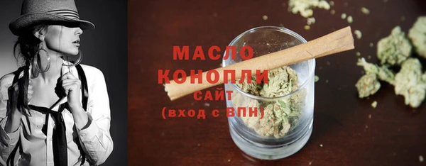 индика Ладушкин