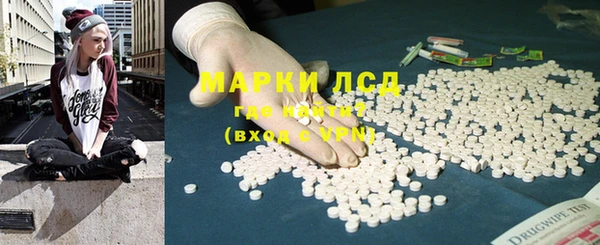 ГАЛЛЮЦИНОГЕННЫЕ ГРИБЫ Лагань