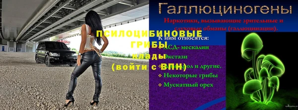 ГАЛЛЮЦИНОГЕННЫЕ ГРИБЫ Лагань