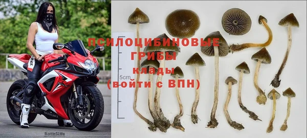 герыч Куйбышев