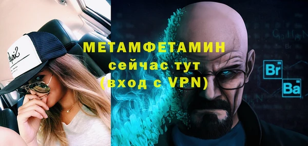 индика Ладушкин
