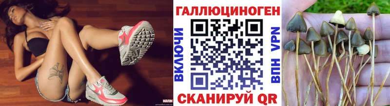 Галлюциногенные грибы Magic Shrooms  Топки 