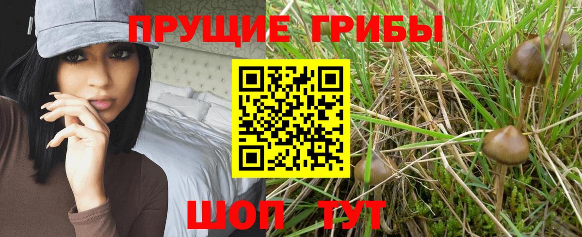 Псилоцибиновые грибы Psilocybine cubensis Топки