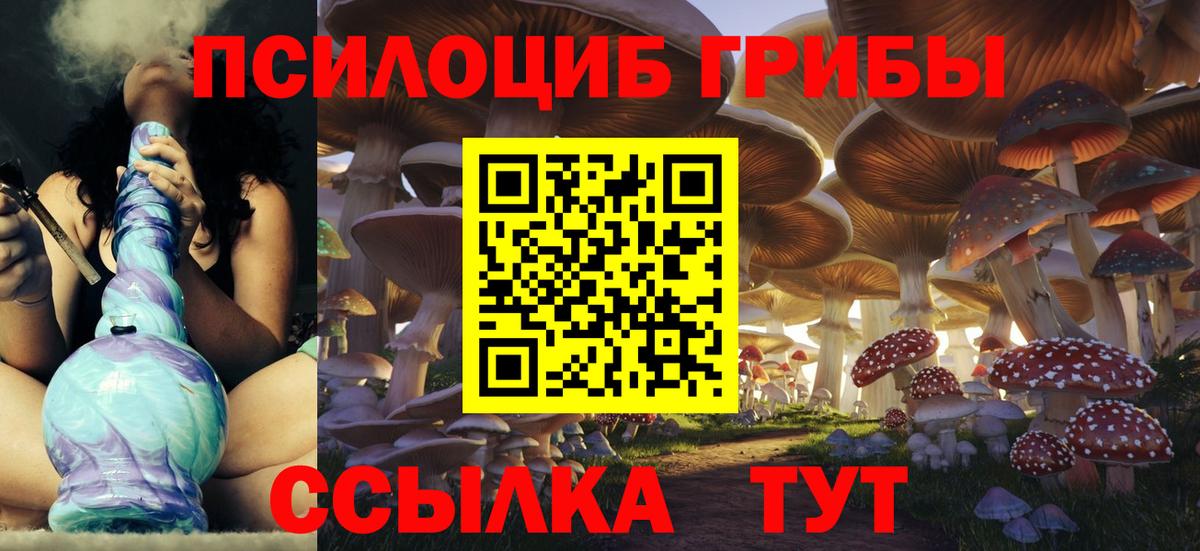 Галлюциногенные грибы GOLDEN TEACHER  Вход с VPN  Псилоцибиновые грибы Cubensis  Топки 