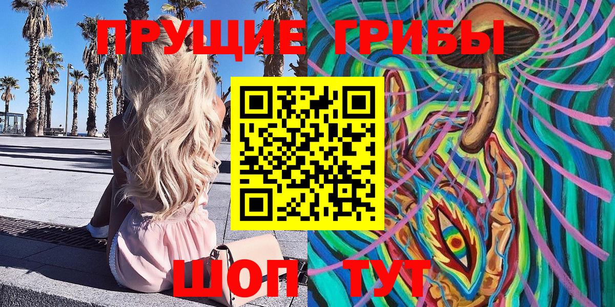 Галлюциногенные грибы Psilocybe  Топки  Галлюциногенные грибы Cubensis 